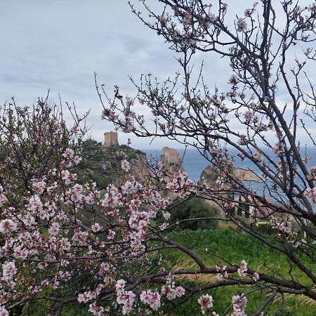 Piccola Baia Villa Scopello  Dış mekan fotoğraf