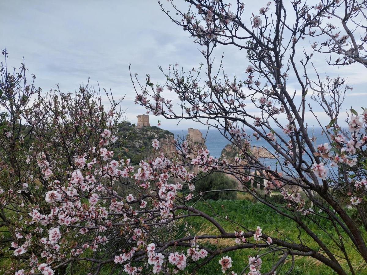 Piccola Baia Villa Scopello  Dış mekan fotoğraf