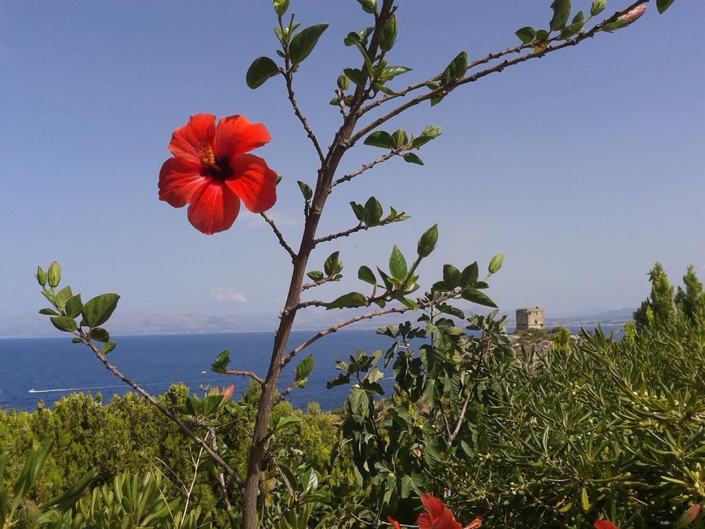 Piccola Baia Villa Scopello  Dış mekan fotoğraf